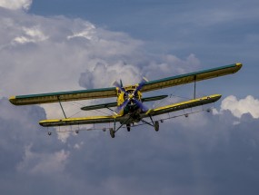 美国航空公司在平安夜停飞所有航班 大批旅客行程可能受到影响