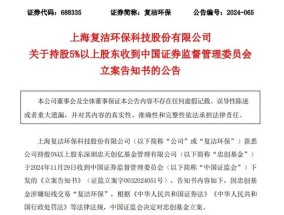 突发！这家A股公司重要股东，被证监会立案！