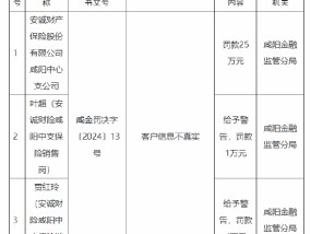 安诚财险咸阳中心支公司被罚25万元：因客户信息不真实