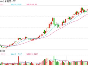 小米集团再换将