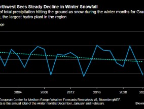 报告：美国西北部地区面临雪荒 但未来情况有望缓解
