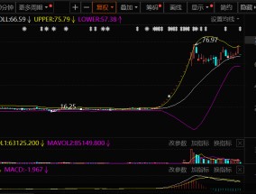 松发股份资产腾挪术背后疑点