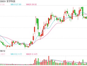 安孚科技换帅背后：并购南孚电池商誉或升至32亿 销售费用率高达同行9倍面临增长困境